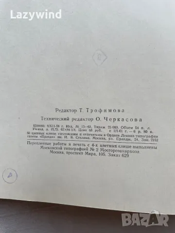 Книга-албум руска живопис 19-ти век, снимка 11 - Антикварни и старинни предмети - 47457477