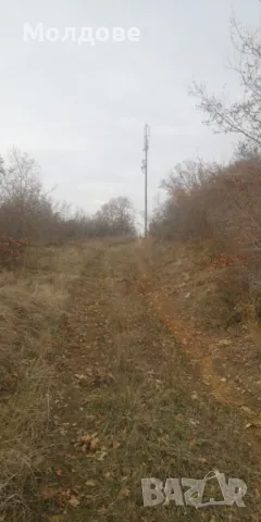 Продавам 887.5кв.м идеални части от земеделска земя в близост до плаж Каваци, снимка 8 - Земеделска земя - 49226292