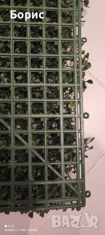 Зелено пано 50x50 см. Чемшир., снимка 5 - Пана - 53053082