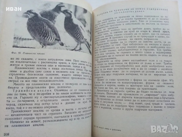 За младия Ловец и Риболовец - Б.Арнаудов,Г.Оцетов - 1975г., снимка 5 - Енциклопедии, справочници - 50241316