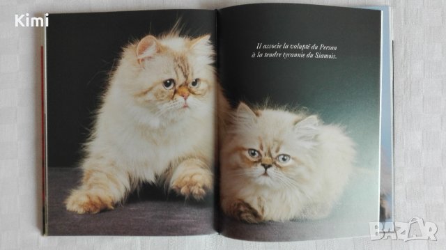 Котешки луксозни албуми, снимка 7 - Други - 26550144