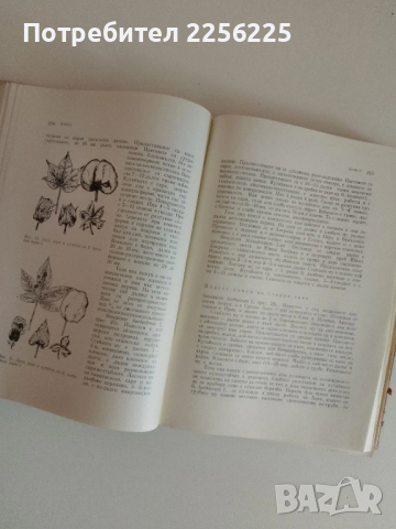 Растениевъдство ( том 3 ), снимка 8 - Специализирана литература - 51480700