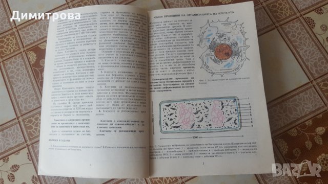 Учебници за 10 и 11 клас, снимка 7 - Учебници, учебни тетрадки - 27874827