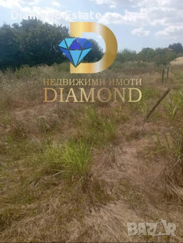 Парцел в село Черногорово, общ. Димитровград, снимка 3 - Парцели - 50874940