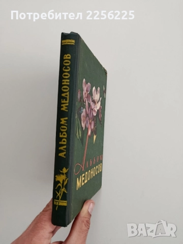Албум с илюстрации на медоносни растения, снимка 11 - Специализирана литература - 52471052