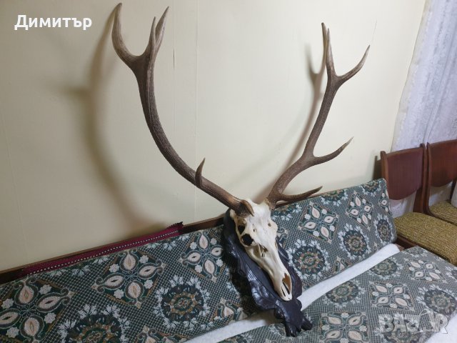 Трофей от голям благороден елен с поставка от дъб–ръчна дърворезба., снимка 2 - Антикварни и старинни предмети - 36803498