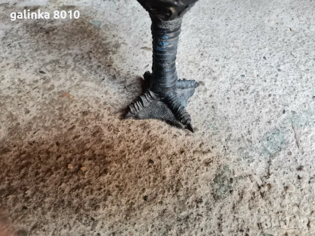 Стара интересна чаша, снимка 3 - Антикварни и старинни предмети - 50301463