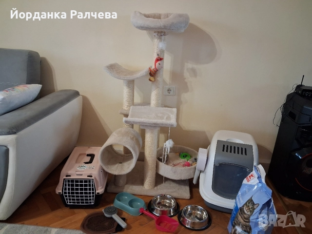 Комплект аксесоари за котка