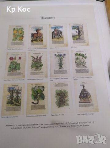 Герардо Чибо 12 колекционерски щампи i discorsi di p.a. mattioli, снимка 3 - Колекции - 28144335