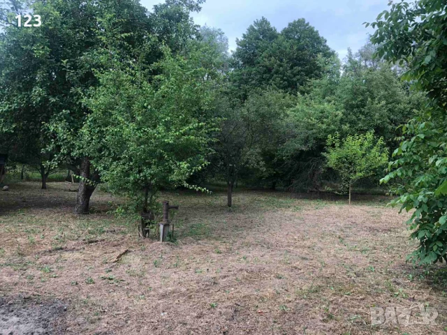  Къща с. Кръстевич, снимка 10 - Къщи - 50795945