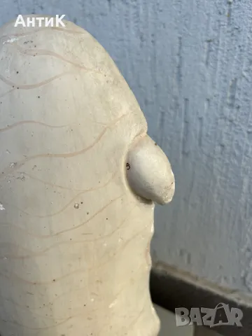 Соц Учебен Макет Модел Биология Учтехпром, снимка 4 - Антикварни и старинни предмети - 47947337