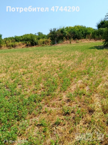 Тухлена къща със селскостопански постройки, снимка 9 - Къщи - 53572368