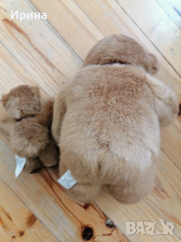 Чисто нови плюшени мечета, снимка 5 - Плюшени играчки - 53351936