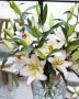 Лилиум в саксия Силно ароматен !, снимка 6