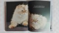 Котешки луксозни албуми, снимка 7