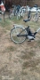Велосипеди, снимка 2