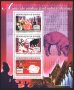 Чист блок Година на Свинята 2007 от Гвинея
