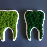 Подарък - За зъболекар и зъботехник - зъб със скандинавски мъх, снимка 4 - Други - 40661965