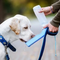 2234 Бутилка за вода за домашни любимци сгъваема поилка шише за кучета, 500ml, снимка 3 - За кучета - 33143440