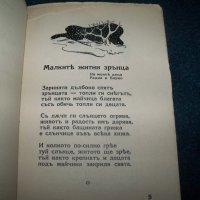"Малки житни зрънца" автор Калина Малина 1938г., снимка 3 - Детски книжки - 26288080