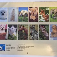 Стенен календар 2006 IFAW Animal Sanctuary Fund, снимка 3 - Други - 38776709