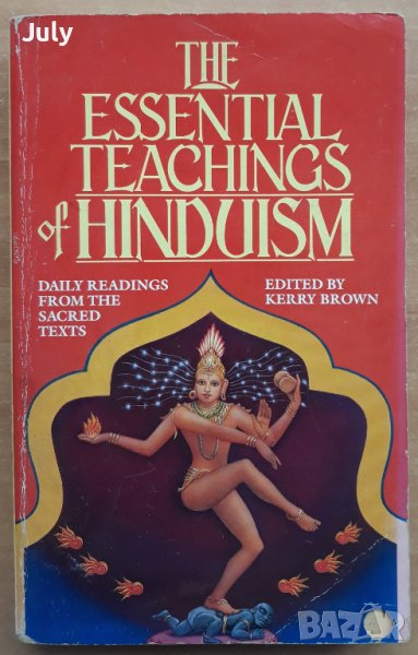 The Essential Teachings of Hinduism, снимка 1