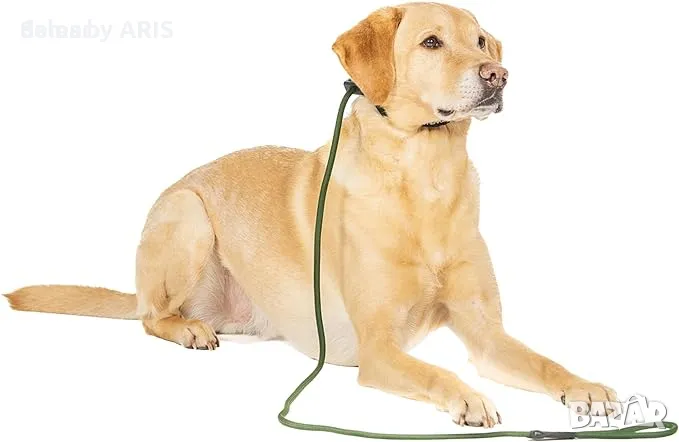 Fenrir Slip Leash 1,4 м с пружинен стопер (зелен), снимка 1