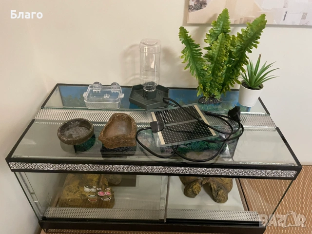 Терариум за гекон/гущер 60х30х30 с 2 нагреватея, купички и укрития, снимка 2 - Терариуми и оборудване - 53368633