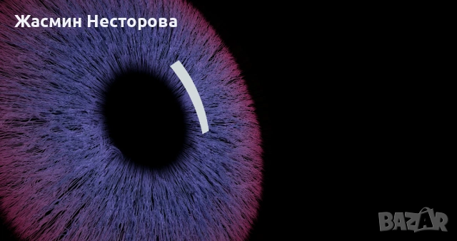 Ирисова фотография с 25% намаление - 3 ириса, 60x42 см снимки, Пловдив, снимка 2 - Ваучери - 53496628