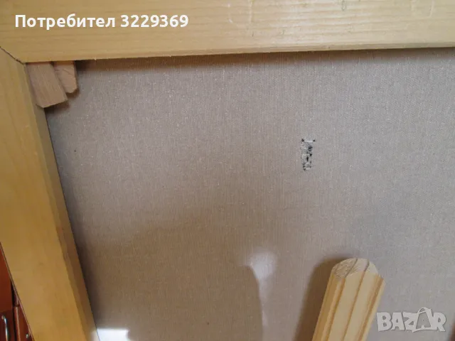 Хаидути Картина, снимка 9 - Картини - 48804202