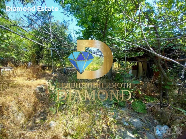 Парцел в село Александрово, обл. Хасково, снимка 6 - Парцели - 50936176