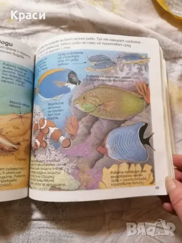 детска образователна книга , снимка 6 - Художествена литература - 48525092