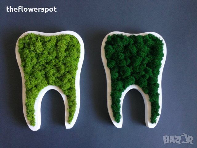 Подарък - За зъболекар и зъботехник - зъб със скандинавски мъх, снимка 4 - Други - 40661965