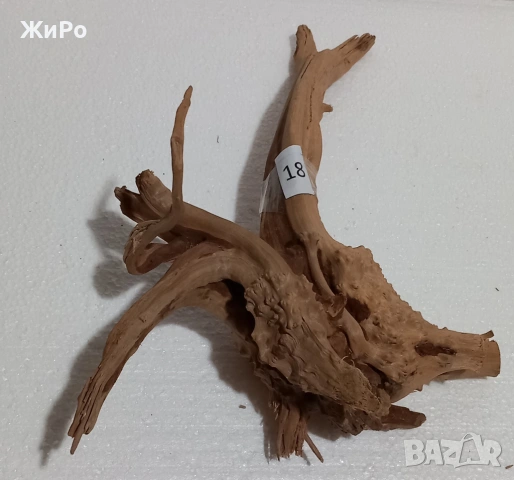 Корен от Азалия /декорация/ 18, снимка 3 - Други - 48936428