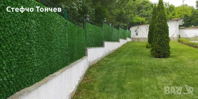 Декоративна мрежа - Жив плет., снимка 11 - Строителни материали - 45464140