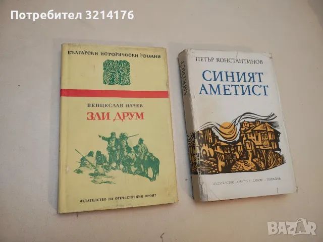 Виа мала - Димитър Мантов, снимка 3 - Българска литература - 49880118