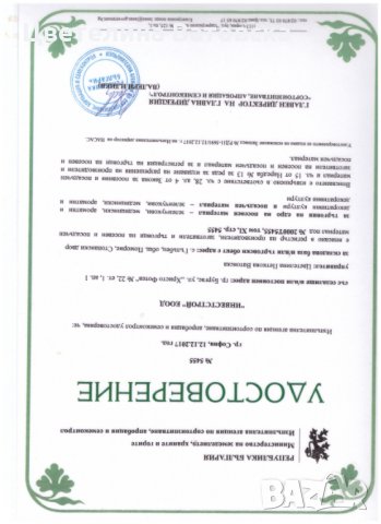 Продавам разсад корени малини Херитидж, снимка 2 - Сортови семена и луковици - 27870533
