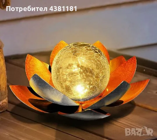 Соларни лотосови цветя – Красота и светлина за вашата градина, снимка 4 - Други - 49748151