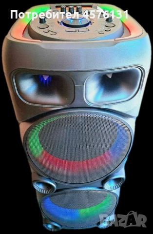 Караоке тонколона 2 х 12" с два микрофона, снимка 3 - Тонколони - 51496718