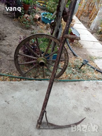 Стара коса,от здравите, снимка 1