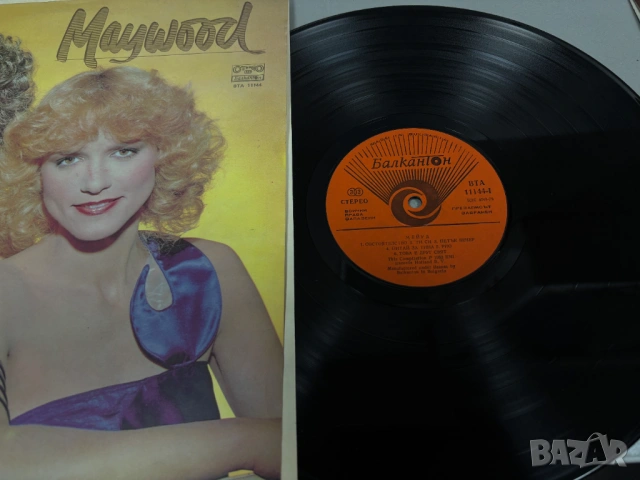 Грамофонни Плочи/6 броя за 29€/, снимка 10 - Грамофонни плочи - 53491401