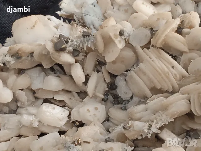 №197,Калцит,Кристали,Минерали,Родопи,, снимка 3 - Декорация за дома - 48831508