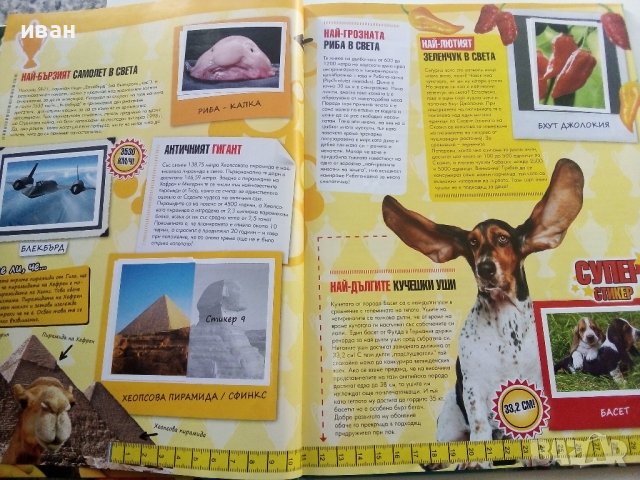 Стикер-албум  - "Невероятните рекорди" - Била, снимка 5 - Колекции - 38452287