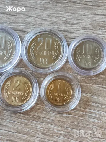 Пълен лот 1981 година България , снимка 4 - Нумизматика и бонистика - 48384060