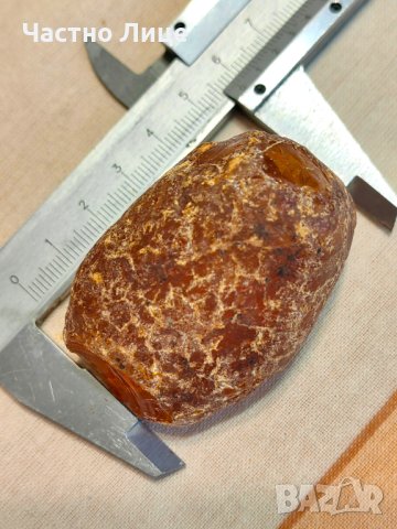 Голям Самороден Необработен Кехлибар Янтар 210,8 карата, на Милиони Години, снимка 5 - Колекции - 43314210