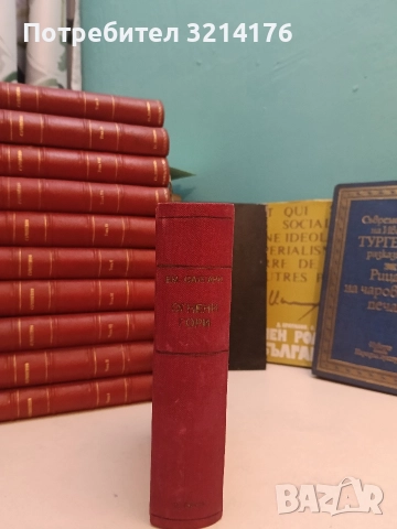 Огнени гори - Емилио Салгари (луксозна изработка)