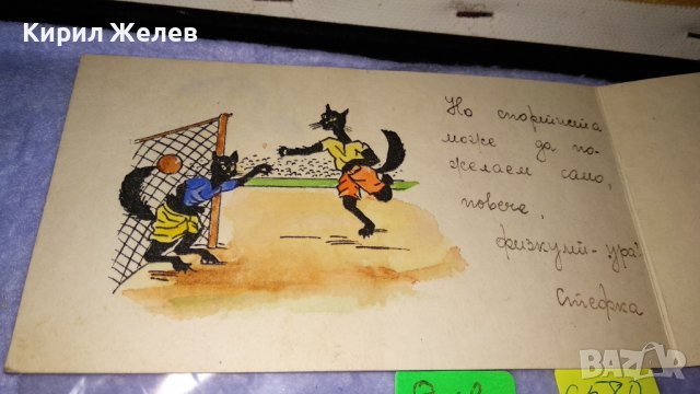 ДВЕ СТАРИ БЪЛГАРСКИ РЕДКИ ПОЩЕНСКИ КАРТИЧКИ СПОРТ и ПРИРОДА 6580, снимка 6 - Филателия - 38572248