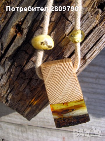 Висулка от кехлибар, коята привлича цялото внимание / Pendant of amber that attracts all attention, снимка 6 - Колиета, медальони, синджири - 32273904