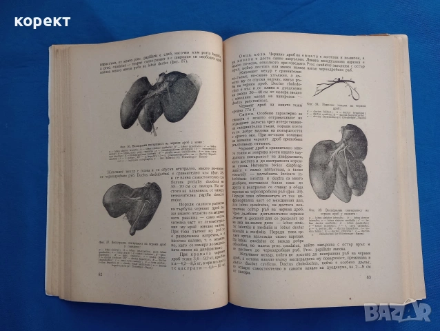 Анатомия на домашните животни , снимка 3 - Специализирана литература - 53076251
