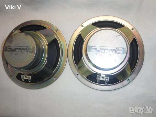 Нискочестотни SUMMIT TT 210-2, снимка 3 - Тонколони - 51011500